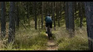 Gravel Time! | NS Bikes RAG+