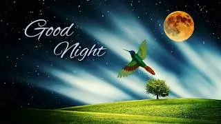 Good night status | Whatsapp status | Good night video
