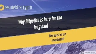 Why Bitpetite is here for the long haul  : Bitpetite review + day 2