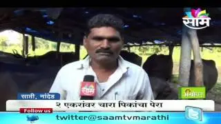 Kabirdas Kadam's dairy farming success story
