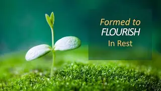 Formed to Flourish: In Rest