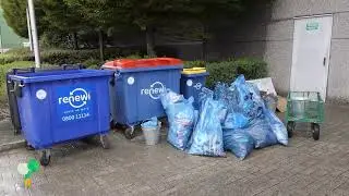 Gosselin Clean up actions Antwerp