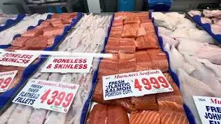 Super fresh oysters at Australia fish market