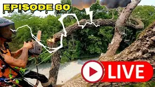 Tree Talk Tuesday / Spar Work Tips & Tricks