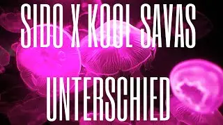 SIDO X KOOL SAVAS - UNTERSCHIED (MUSIKVIDEO)