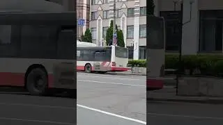 Автобус 2 MAN A21 CNG #MAN #lionscity #A21 #cng