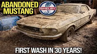 Discovering an Abandoned Shelby Mustang in a Barn: First restoration in Three Decades!