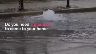 24 Hour Emergency Plumber In Orlando! Video and reviews of best emergency plumber in Orlando. HELP!