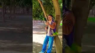 Marjana song b praak all hit song acting #trending #shorts