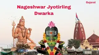Nageshwar Jyotirling Gujarat ##mahadev #jaimahakal #nageshwarjyotirlinga 