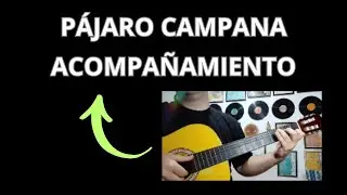 COMO TOCAR PÁJARO CAMPANA | ACOMPAÑAMIENTO | guitarra rítmica (Episodio #2)