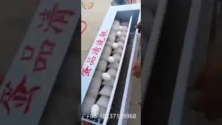 hen egg cleaning machine/ chicken egg washing machine/ poultry egg washer cleaner machine