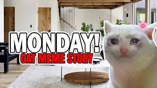 Its Monday! | CAT MEME FUNNEY STORY