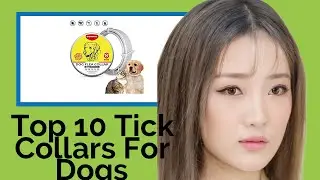 👉 Top 10 Tick Collars For Dogs  2021  (Review Guide)