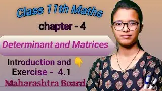 Determinant and Matrices /Class 11th / Introduction and ex.4.1 /Maths part - 1/ Maharashtra Board