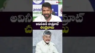 అవినీతి సామ్రాట్ అంటే చంద్రబాబే | Chandrababe is the corrupt emperor | Sneha tv telugu news