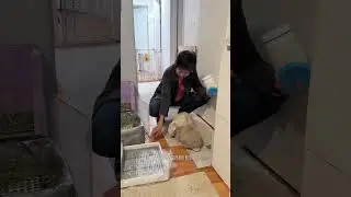 My mom feeds my bunnies treats the moment she gets home #petbunny