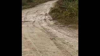 Rabbit hunting with FAST beagles