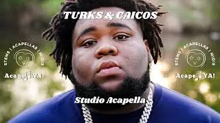 Rod Wave ft. 21 Savage - Turks & Caicos (Studio Acapella)