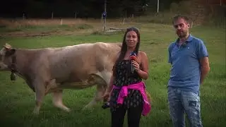 Zľavomatová polícia - Masarykov dvor***