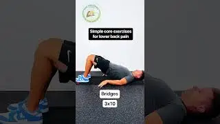 3 Simple Core Exercises to Relieve Lower Back Pain (Beginner Friendly)
