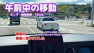 『コペン』　午前中の移動（ホンダ・モモ動物病院・トライアル）
