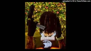 (IC) Globoy Kozart- Glo Girl