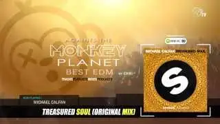 Michael Calfan - Treasured Soul (Original Mix)