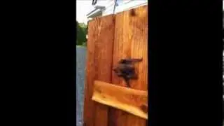 Bat Removal Greenville, SC   Call 24/7 (888) 316-6289