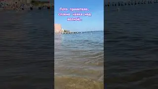 Прощай лето&hellip;#shorts #svetlana.101 #ocean # summer #￼￼ Wave ￼