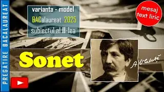 Sonet, de Alexandru Vlahuță - subiectul al II-lea, varianta MODEL 2025