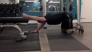 Quadruped Overhead Shoulder Stretch
