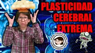 PLASTICIDAD CEREBRAL🧠 extrema 🤯 - Profa Cinthia Reyes