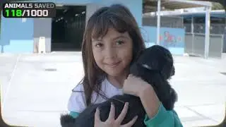 &ldquo;I Helped Save 1,000 Animals&rsquo; Lives&rdquo;