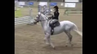 British Riding Club Intermediate - Championships 90/95cm