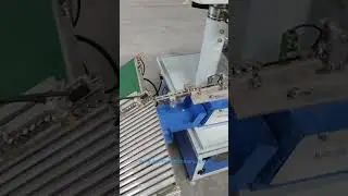 SCREW WAHSERS AUTO ASSEMBLY MACHINE WITH TRAY COLLECTION