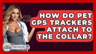 How Do Pet GPS Trackers Attach To The Collar? - Ask A Pet Vet