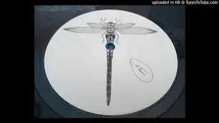 Spiralkinda & X Dream - Blah