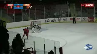 Theodore Rowell Shootout Goal Game Winner Michigan Shadow MIHL Jan 10 26