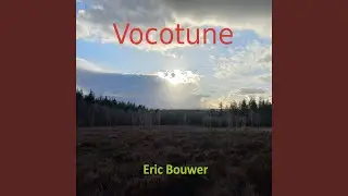 Vocotune