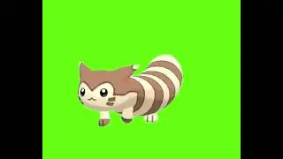 Furret walk green screen