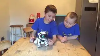 Jack and George review Teksta the robot dog
