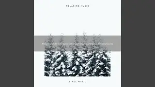 Prosperity and Joy Under a Mistletoe with Cheerful Songs and Winter Relaxing Sounds