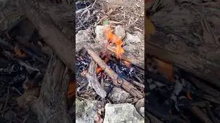 C&oacute;mo Hacer una Fogata F&Aacute;CILMENTE!! 🔥 #fogata #camping #campamentobase
