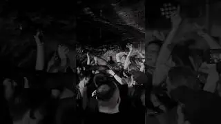 #SplitDogs #live am 28.3.25 im #Museumskeller #Erfurt #punkrocklive #livemusic #punkrock
