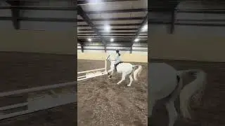 Winter = equitation boot camp! We are already getting so much better at the counter canter! -Olivia￼