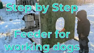 Step by Step ​​build: Dog Feeder for live stock guardian dogs. LGD Feeder