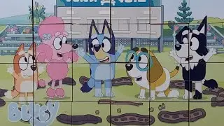 Let's Play Circus! | Bluey | Puzzle for kids and for fun | Puzzle Lovers
