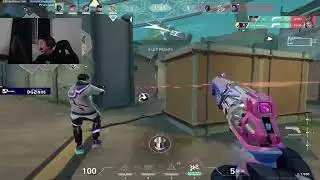EG Dgzin : A mira mais calma