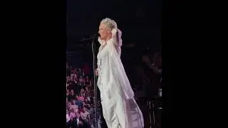 P!NK - Pink Takes Pictures with Fans Madison Square Garden Concert 2019